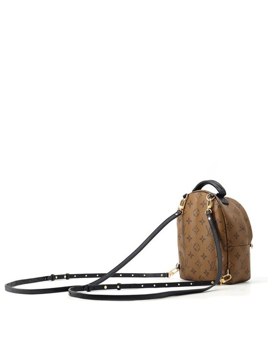 Louis Vuitton Backpack Monogram Reverse Palm Springs Mini Bag main image 4
